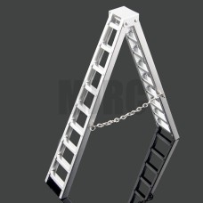 Scale ladder(100mm)